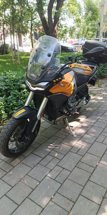 Moto Guzzi Stelvio-Giallo Savana 2024