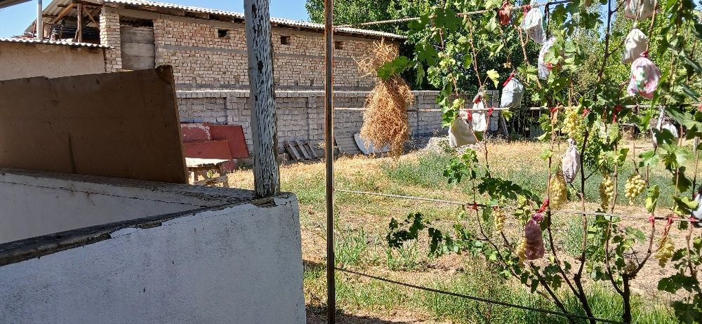 Қибрай тумани 4-сотик 2-хонали уй сотилади