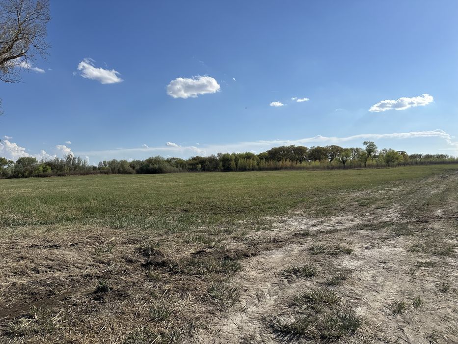 Земля сенокос пашня сено кх