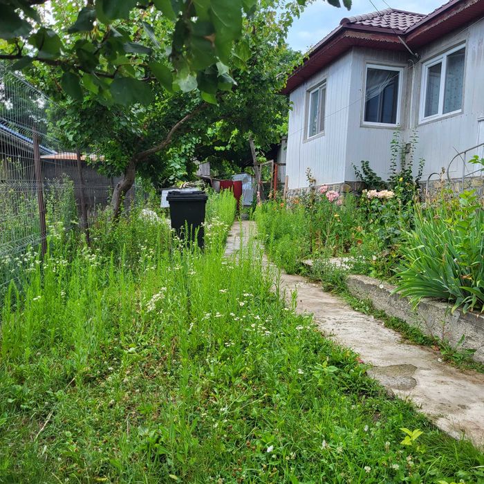 Vand Casa Comuna Buda