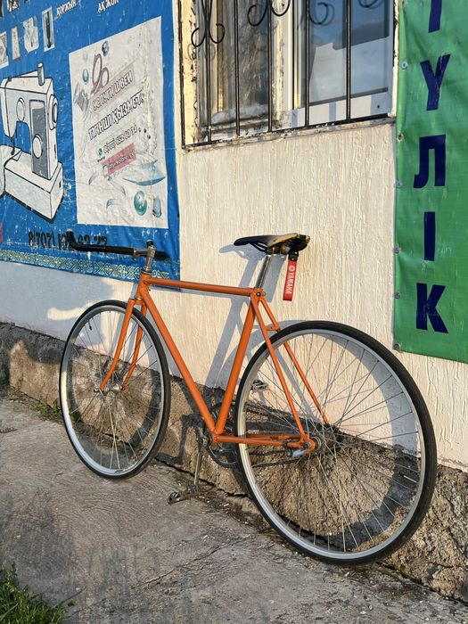 Хвз синглспид