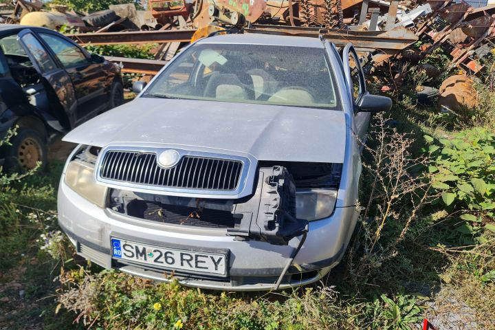 Broasca usa spate dreapta Skoda Fabia 6Y