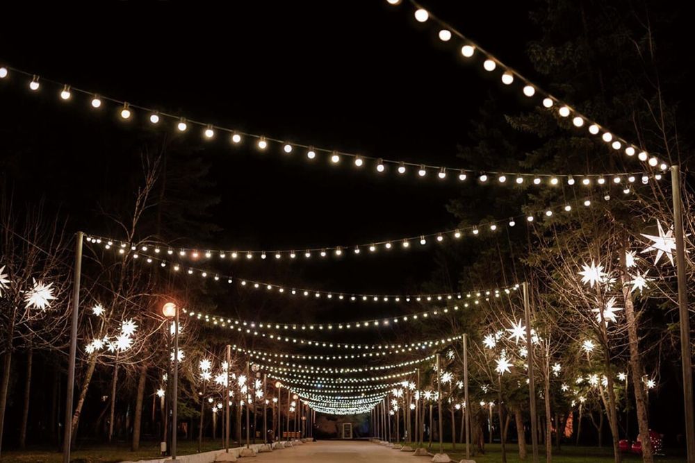 Герлянды на 1 день