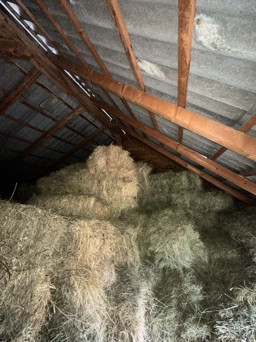 Vând baloti fân din