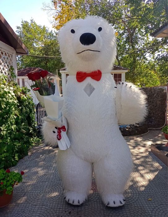 Аниматора только аренда  от 6000