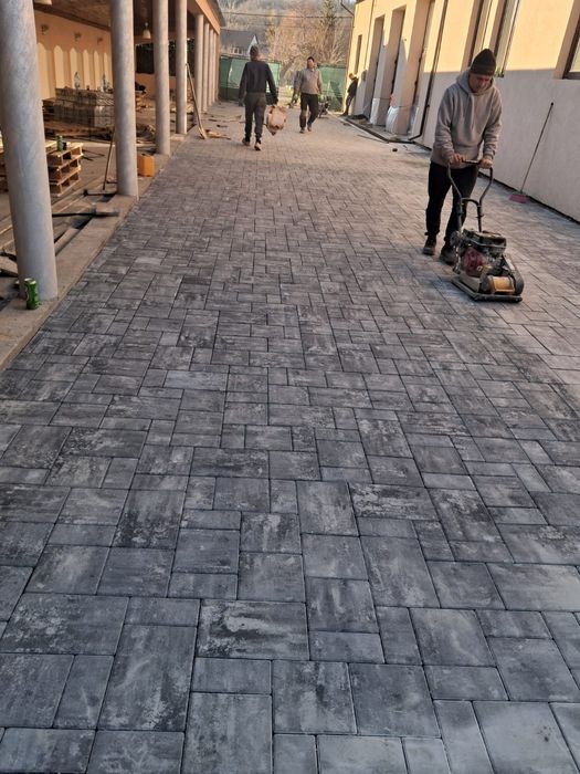 Pavaje pavele montaj profesional