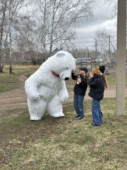 Заказ, Аренда белого Мишки