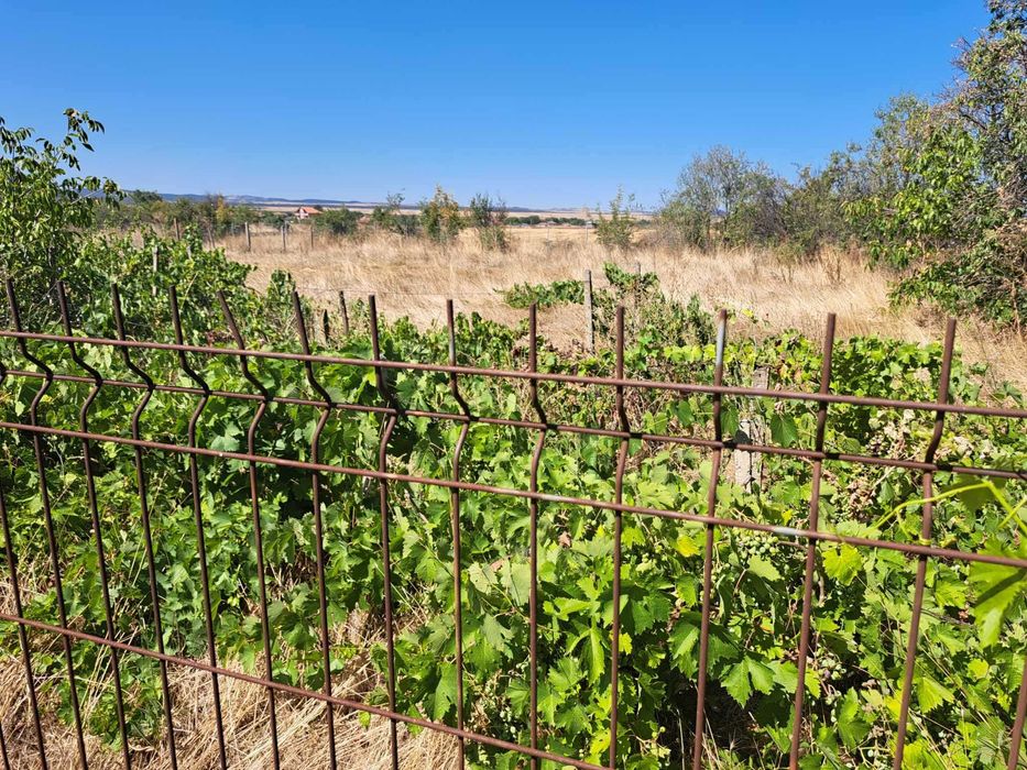 Продава се Парцел в с. Оризаре, Област Бургас - 1040 кв.м за 19 €/кв.м - Снимка #5