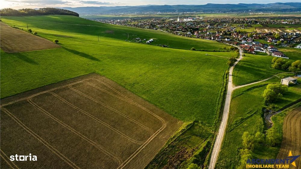 FILM! Portofoliu funciar de exceptie: 23.669 mp teren extravilan Sangi