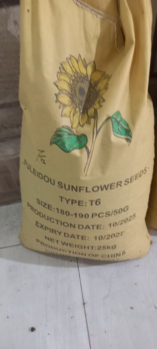 Хитой пистаси/ семечка