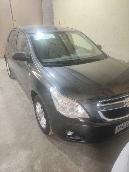 Cobalt Style MCM 2026