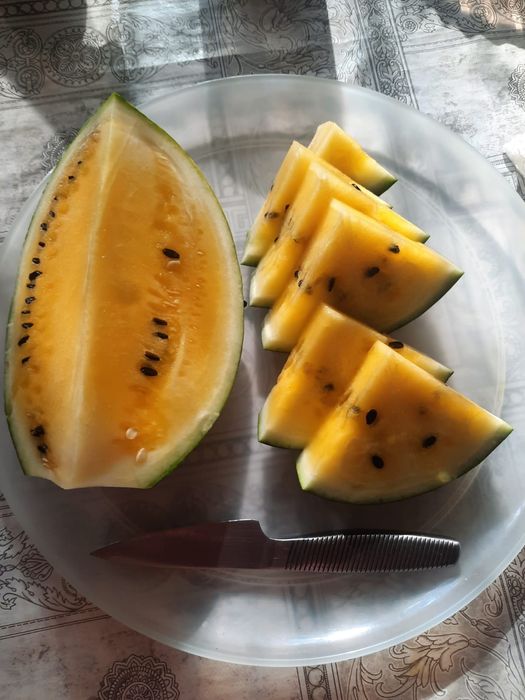 Семена жёлтого арбуза. Урожай 2025 года.