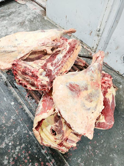 Мясо говядины тушами