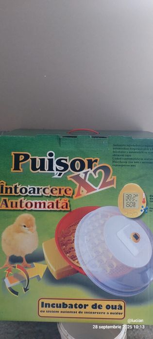 Vand familie australorp