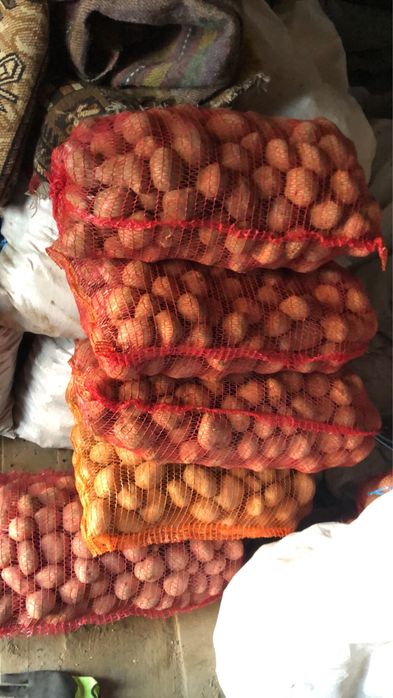 Cartofi consum galbeni si roșii