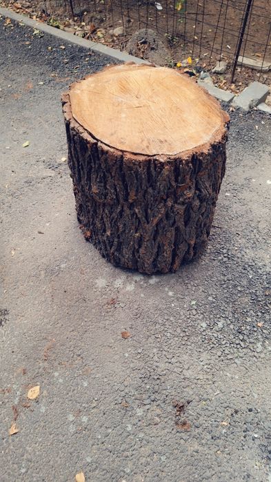 Карагач. Для рубки мяса