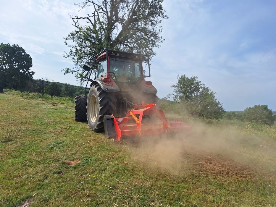 Curatare pasuni și terenuri împădurite