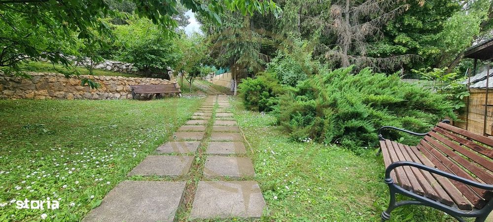 Dom00443 - vila la lac cu ponton si piscina snagov