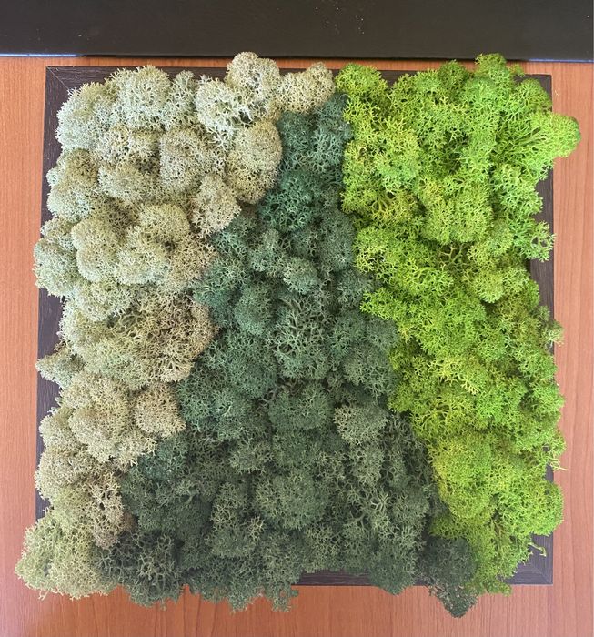 Жива картина от скандинавски мъх, три цвята “Зелен релакс”