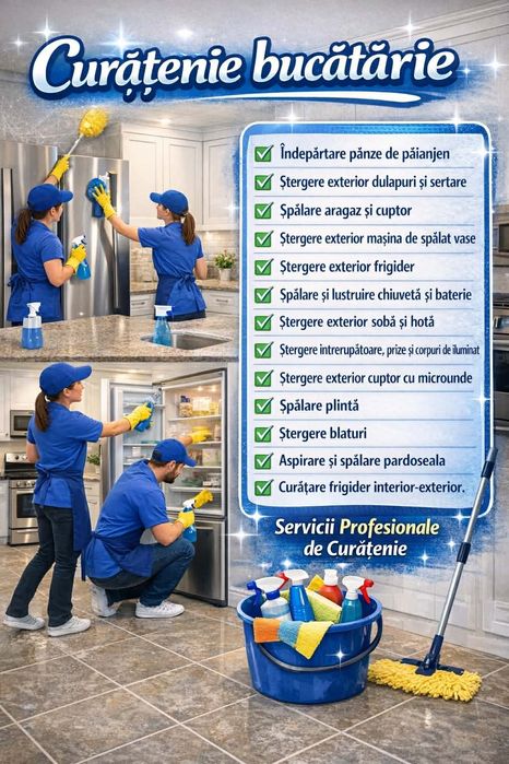 Firma curățenie profesională
