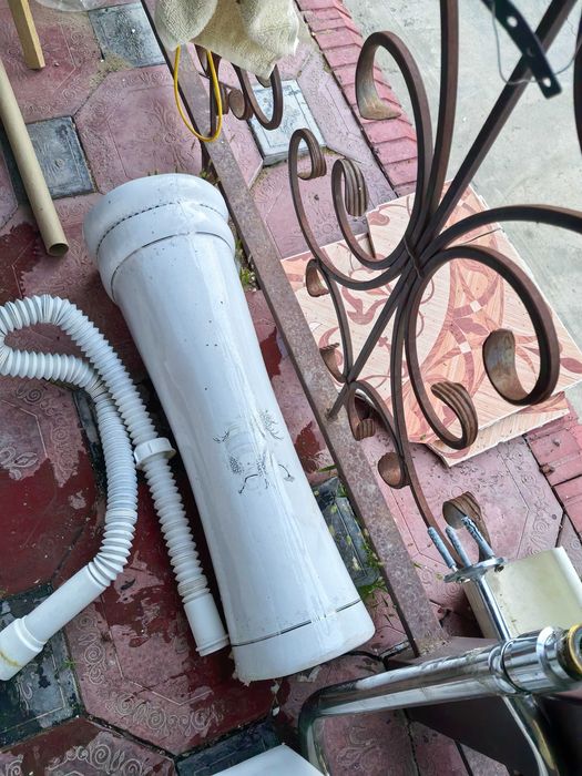 Раковина тюльпан белый
