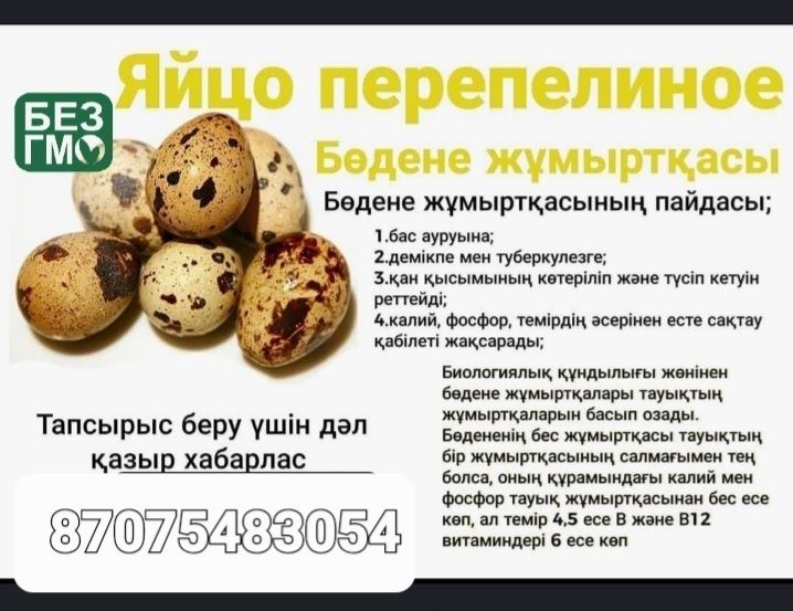 Бодене балапан сатылады