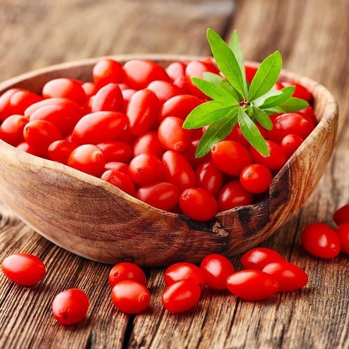 Arbuști Fructiferi (Goji )
