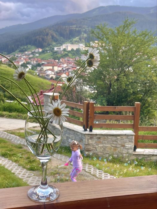 Къща за гости «Шале Изглед» гр. Чепеларе