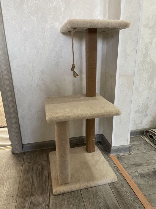 Когтеточка для кошек