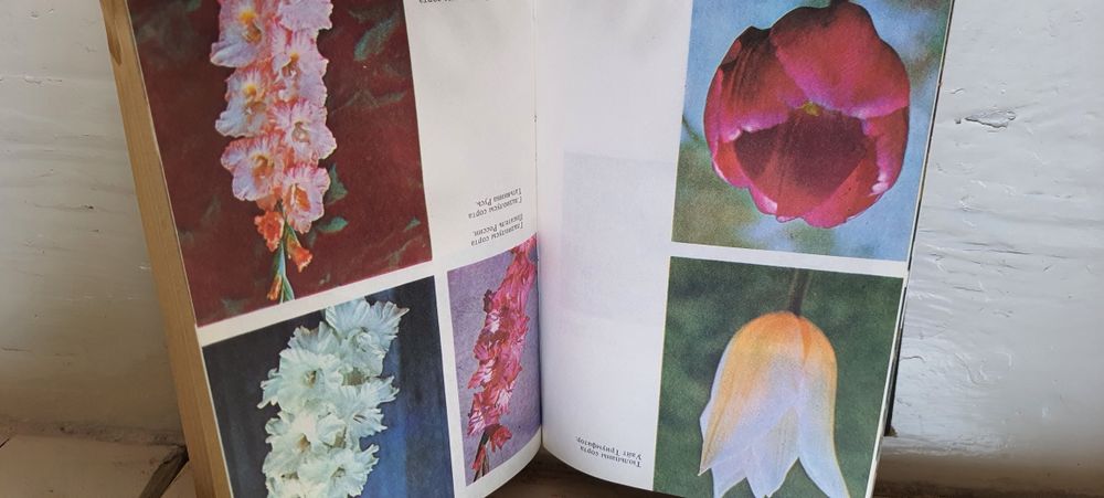Книга по цветоводству