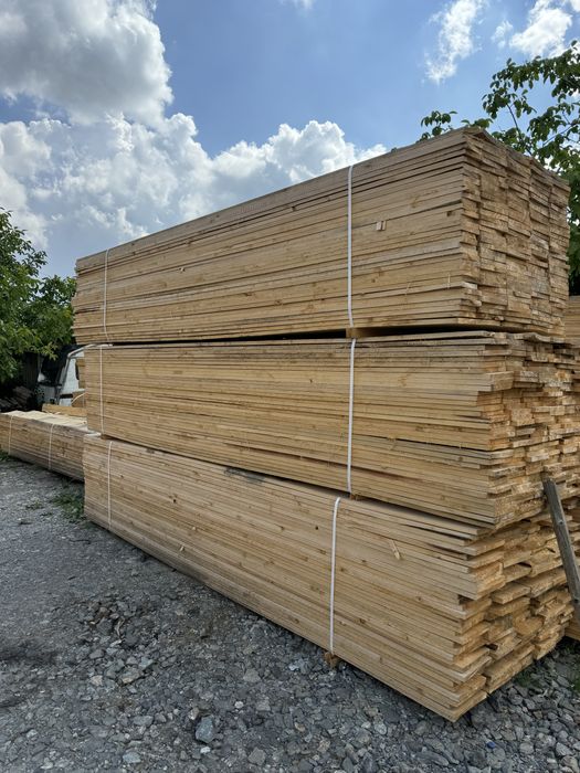 Cherestea Rasinoasa Molid