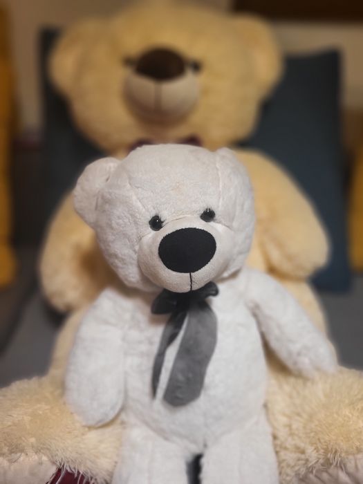 Плюшени  меченца