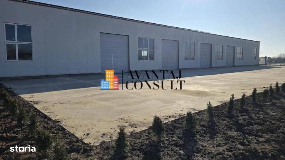 Inchirieri Spatii Industriale Giurgiului Dedeman