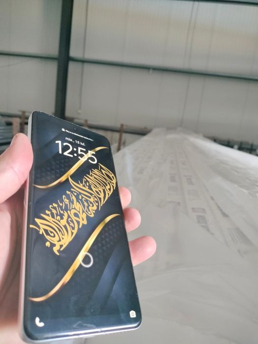 Vivo x 200 pro Global