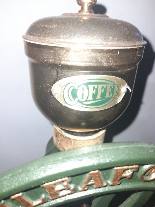 Rănită  de cafea Birchleaf ,vintange