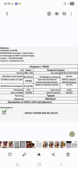 Семе люцерна. Люцерна семена