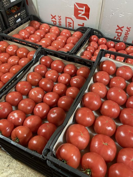 Доставка овощей и фрукты