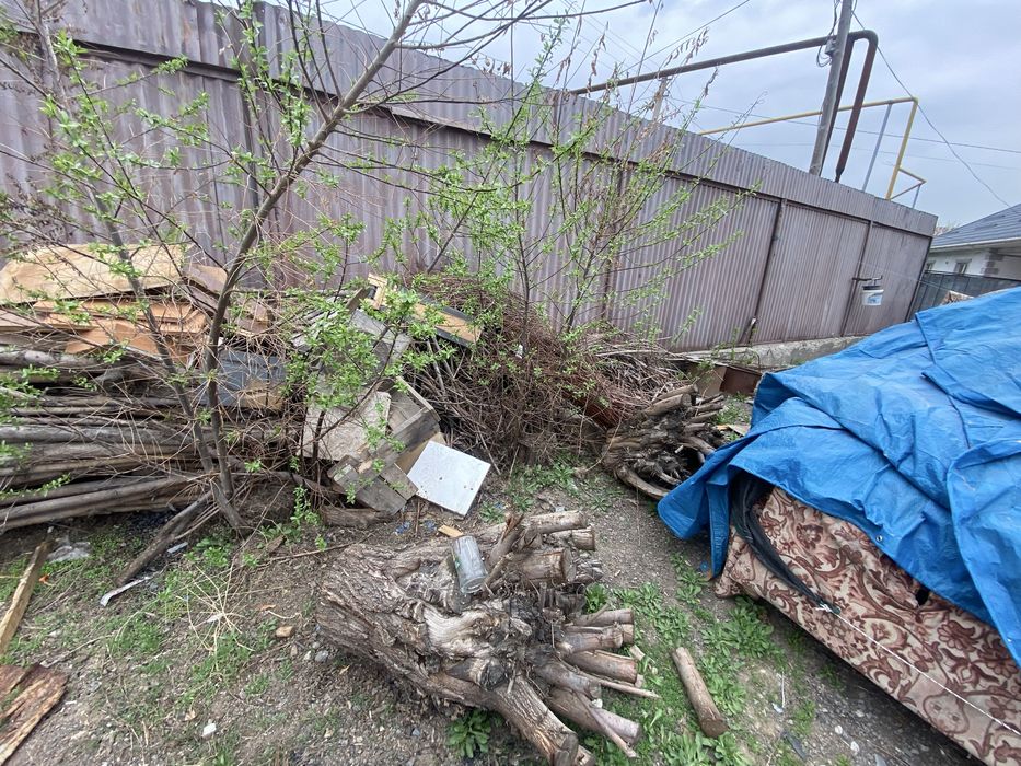 Отын агаш тегын.