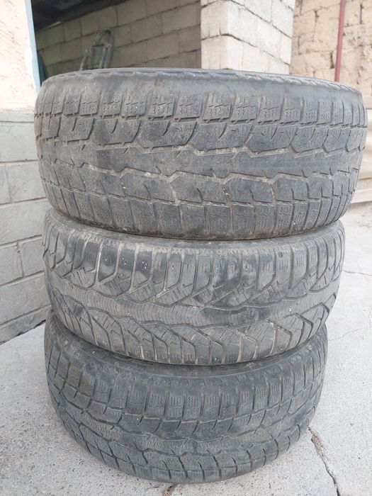 Зимний шина 16×205×55