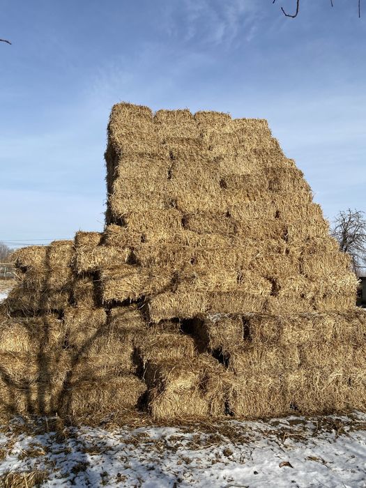 Продам сено, соевая салома