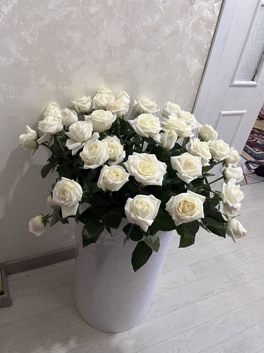 Роза белый 39 шт