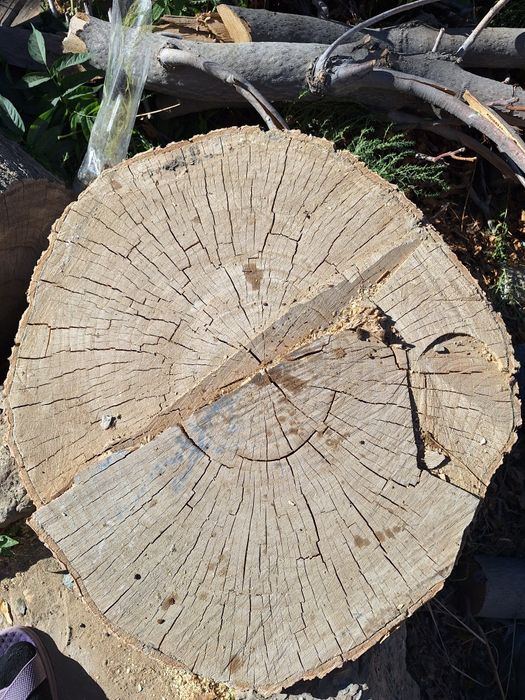 Каток (тонке) сатылады