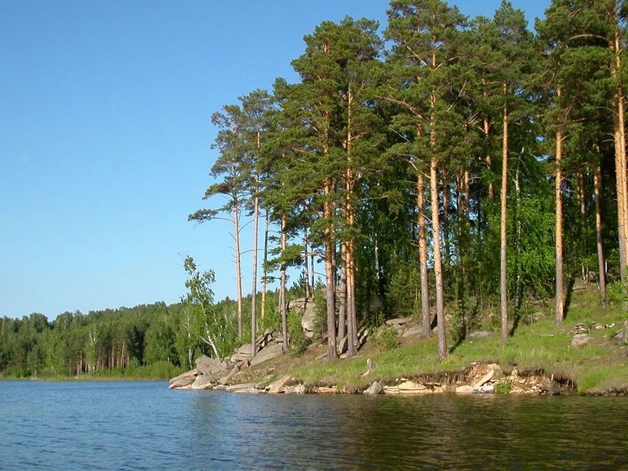 Продаю целебные травы