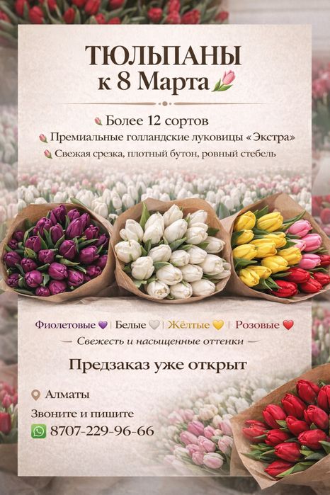 Голландские тюльпаны