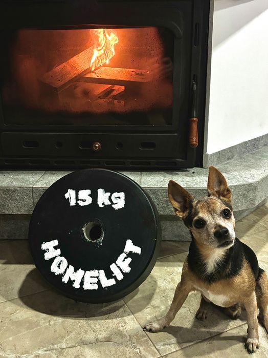 Фитнес дискове, перфектни за домашен фитнес!