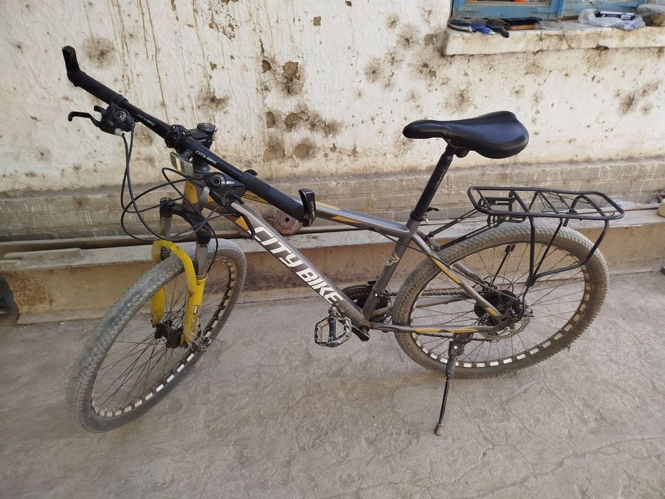 Velik sotiladi narxi