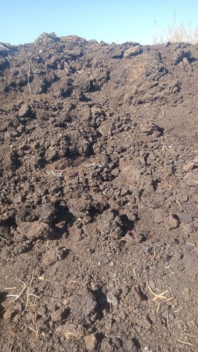 Продаём перегной.