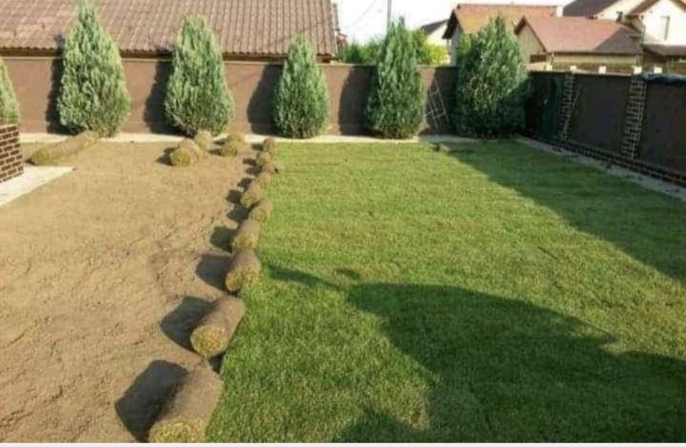 Gazon Rulou de Elită- Transport si Montaj Inclus