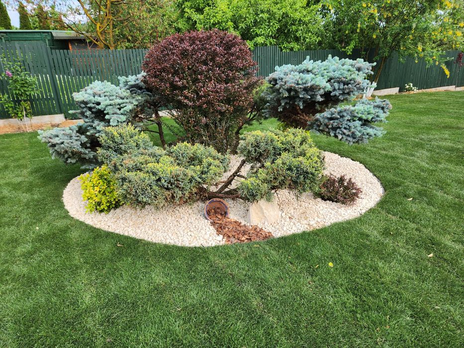 Amenajări, intretinere curți, gradini, spatii verzi, arat, frezat sol.