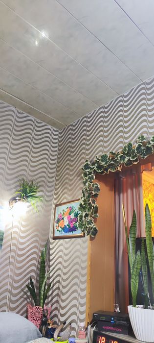 Продаются обои моющие производства Германия